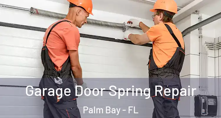  Garage Door Spring Repair Palm Bay - FL
