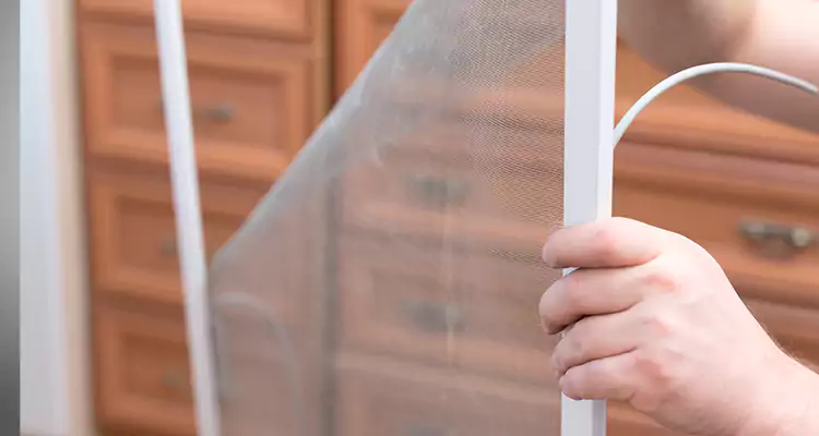 Privacy Mesh Screen Door Installation in Palm Bay, FL