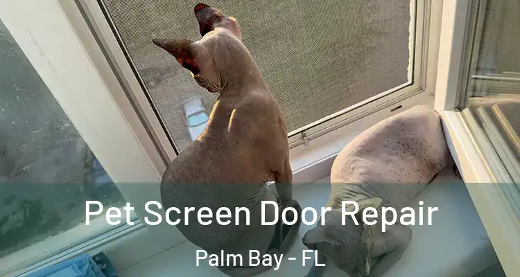  Pet Screen Door Repair Palm Bay - FL